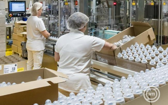 Új program segíti a munkát keresők elhelyezkedését