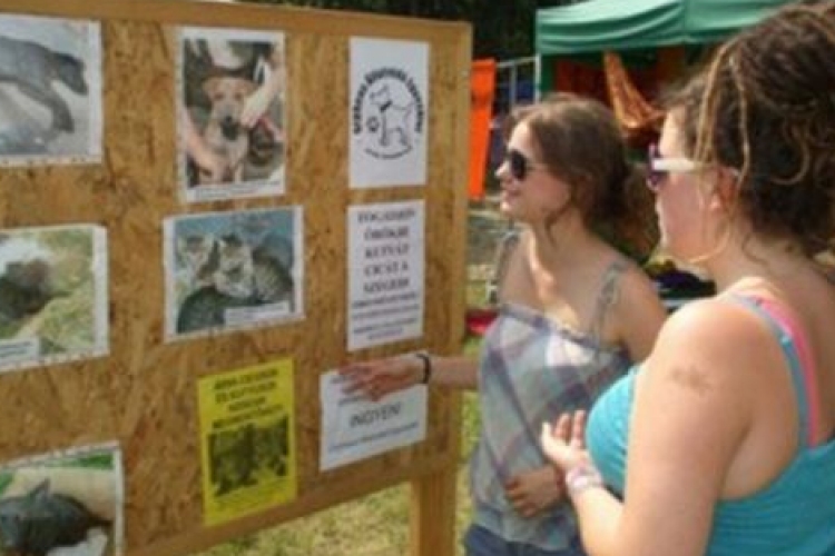 Az állatvédők is Szigetelnek - Állatvédők a Sziget 2014 Fesztiválon