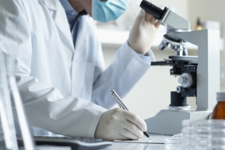 A sejtek oxigén elleni védekezésének új útvonalát tárták fel magyar kutatók