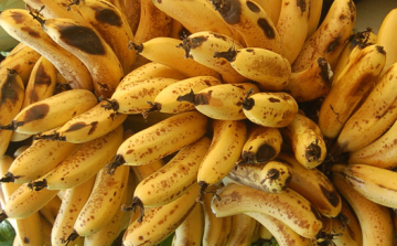 Szépséghibás élelmiszerek - kidobásra ítélve?