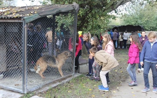 Gyerekek látogatták meg a gazdira váró kutyusokat