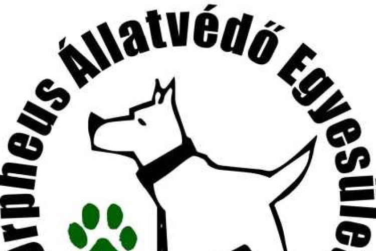 Ebzárlat a veszettség visszaszorításáért
