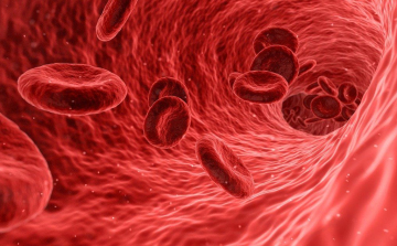 Csökken a koleszterinszint a nyugati országok, de nő Ázsia lakossága körében