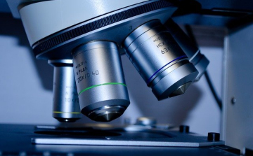 Új magyar fejlesztés segíti az idegrendszeri és mentális betegségek okainak vizsgálatát