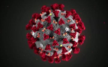 Koronavírus - Harminccal nőtt a fertőzöttek száma Magyarországon