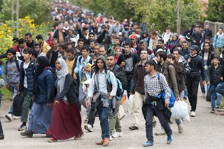 Belgium migránsokat küld vissza Magyarországra
