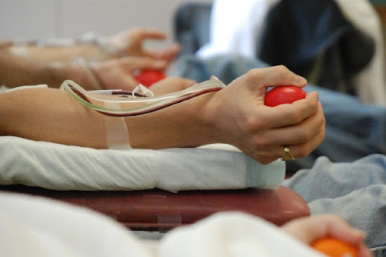 Eredményes volt a Magyar Vöröskereszt nyári véradókampánya