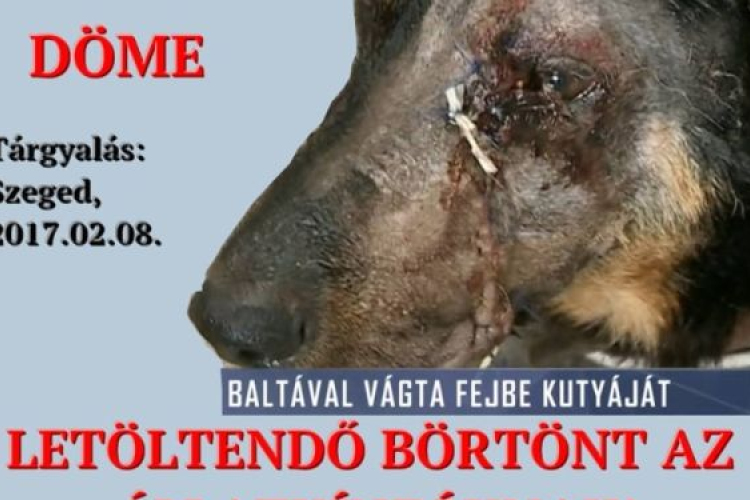 Tüntetés az állatkínzó ellen