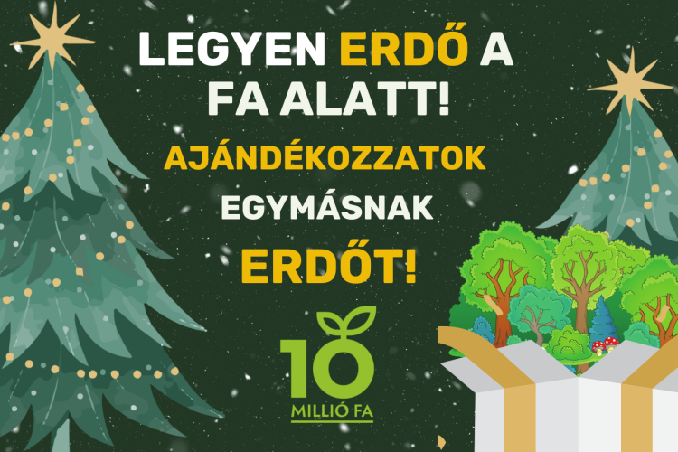 Ajándékozzunk egymásnak jövőt és reményt!