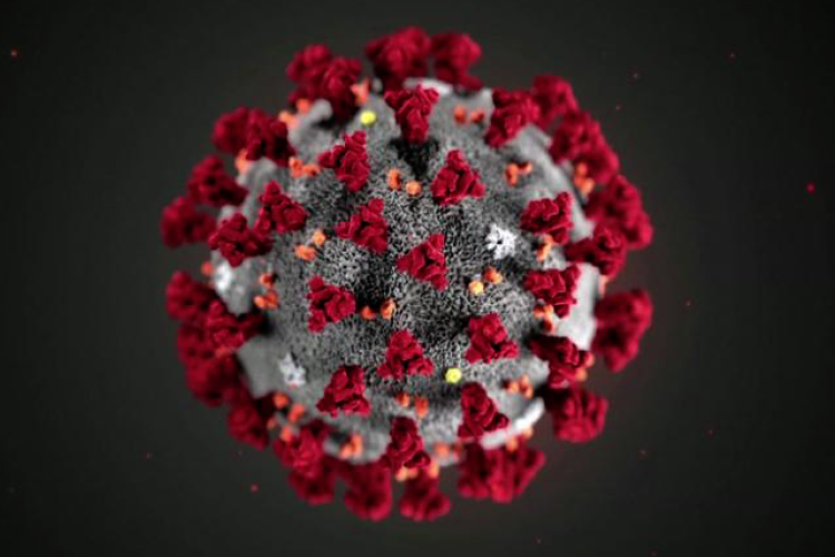 Koronavírus - A világban 22,3 millió a fertőzöttek száma, egy nap alatt 5400-an haltak meg