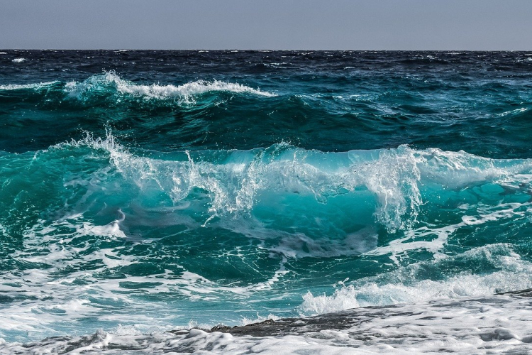 Már hetven éve nyelik a halak a mikroműanyagot